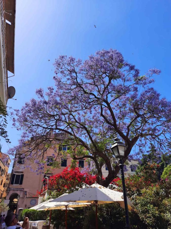 Jacaranda Corfu Old Town Apt ภายนอก รูปภาพ